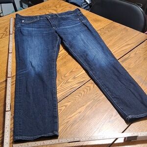 AG ADRIANO GOLDSCHMIED Jeans Womens 30 Pants Preowned BLUE Used Denim